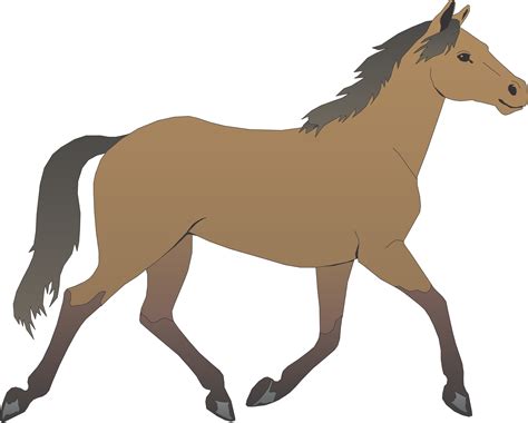 cartoonhd broken horses|Horse Cartoon Videos, Download The BEST Free 4k Stock Video .